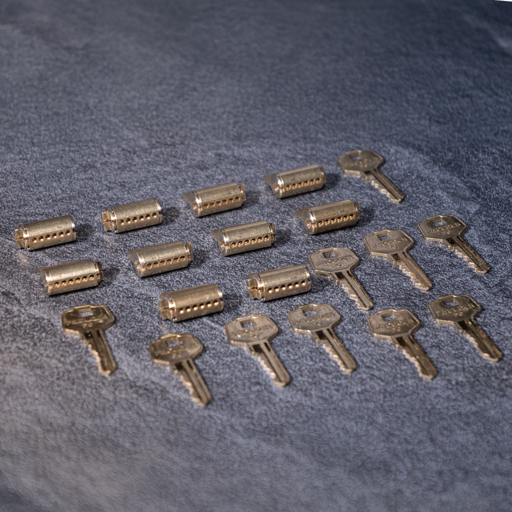 Locksport Trainer Lock Set